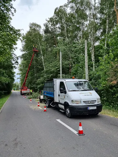 LasOgród | Roboty ziemne | Wycinka Pielęgnacja drzew | Jakub Woźniakowski | Otwock Warszawa | Wykopy Koparka Transport